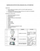 OBSERVACION DE EFECTOS RELACIONADOS CON LA FOTOSÍNTESIS