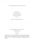 Comprendiendo algunos enfoques de la psicología social