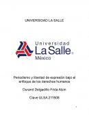 Periodismo y libertad de expresión bajo el enfoque de los derechos humanos