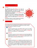 Coronavirus 2019