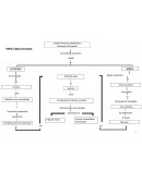 Como nace el derecho