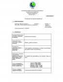 Planificación de tutorías académicas