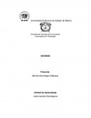 Informe PROESC