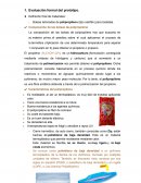 Evaluación Formal Del Prototipo