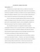 ANÁLISIS DE LA OBRA DE ARI ASTER