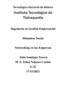 Dinámica Social Networking en las Empresas