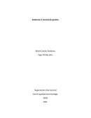 Evidencia 4, control de gestión, Negociación internacional