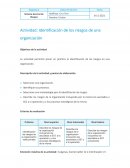 Actividad: Identificación de los riesgos de una organización