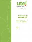 Guía de estudio: Competencia, partes y procedimientos en el juicio de Amparo