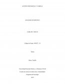 Acción psicosocial y familia. Análisis estadístico