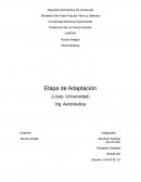 Etapa de Adaptación Del liceo a la Unefa