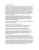 Elección de mi carrera