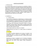 ¿Kosovo es un Estado?