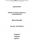 Formulacion de Proyectos de un emprendimiento. Palmito, Proceso productivo y industrialización
