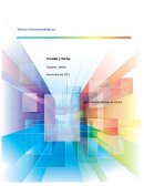 Teorías Fenomenológicas