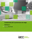 Fundamento de la prevencion de riesgo