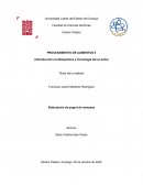 Elaboración de yogurt de manzana