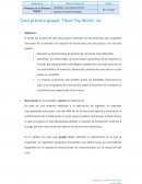 Caso práctico grupal: Título Toy World, Inc