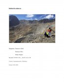 Riesgos de la mineria chilena