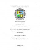 ENSAYO DE LA CLAVE DE LOS NEGOCIOS