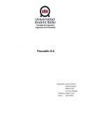 Sistema de información gerencial Pescaditos S.A