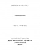 CRISIS ECONÓMICA DURANTE EL COVID-19