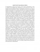 Análisis Final De Emprendimiento Solidario