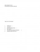 PROCEDIMIENTO DE: ENCOFRADO & DESENCOFRADO