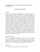 Angela María Quintero Velásquez . Aportes al Trabajo Social