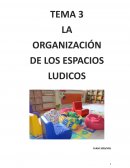 LA ORGANIZACIÓN DE LOS ESPACIOS LUDICOS