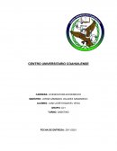 Historia del derecho, como los primeros imperios que existían en el medio oriente