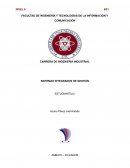 Conceptos básicos en la introducción a los Sistemas Integrados de Gestión