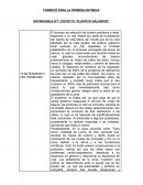 ENTREGABLE N°1: POYECTO “PLÁSTICO SALVADOR”