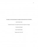 El estado y los derechos humanos como pilar de protección frente al COVID-19