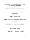 APLICACIÓN DE LA ORGANIZACIÓN PY Se anota nombre del proyecto