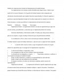 Modelos de organizaciones formales del departamento del capital humano