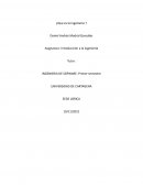 ¿Que es la ingeniería ?