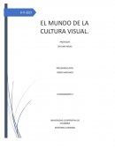 El mundo de la cultura visual