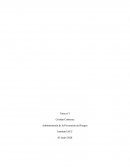 Administración de la prevención de riesgos