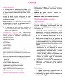 Resumen anemias