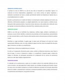INFORME PERIODO DE INICIO 5 AÑOS