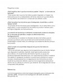 Deep Water Remediación