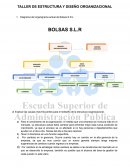 Diagrama del organigrama actual de Bolsas S.R.L