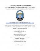 PROPUESTA DE MEJORA EN EL DESEMPEÑO LABORAL PARA UN BUEN AUMENTO DE LA PRODUCTIVIDAD LABORAL EN LA MUNICIPALIDAD DE PALCA_HUANCAVELICA_2020