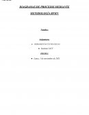 DIAGRAMAS DE PROCESOS MEDIANTE METODOLOGÍA BPMN