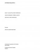 Problemas Sociales Globales