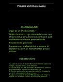 Informe de Proyecto ojo de angel