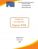 Las paginas web WWW