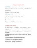 PRÁCTICA DE CALORIMETRÍA
