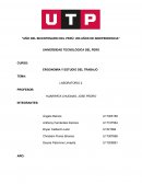 Laboratorio 2 Ergonomia